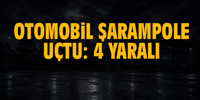Otomobil şarampole uçtu: 4 yaralı