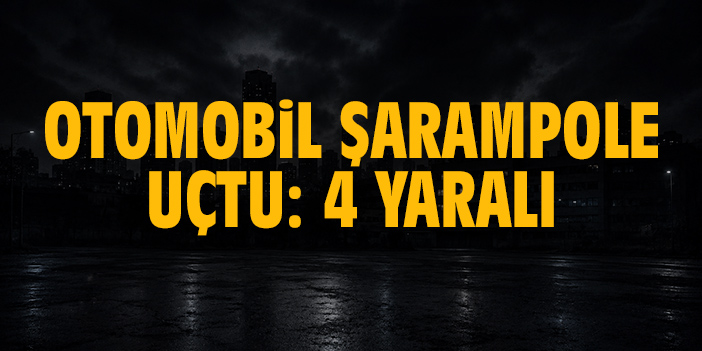 Otomobil şarampole uçtu: 4 yaralı