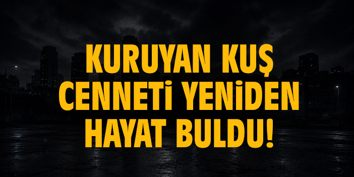 Kuruyan kuş cenneti yeniden hayat buldu!