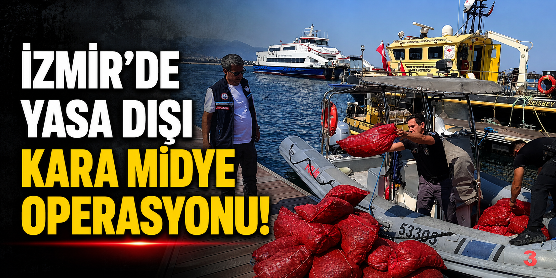 İzmir'de yasa dışı kara midye operasyonu!