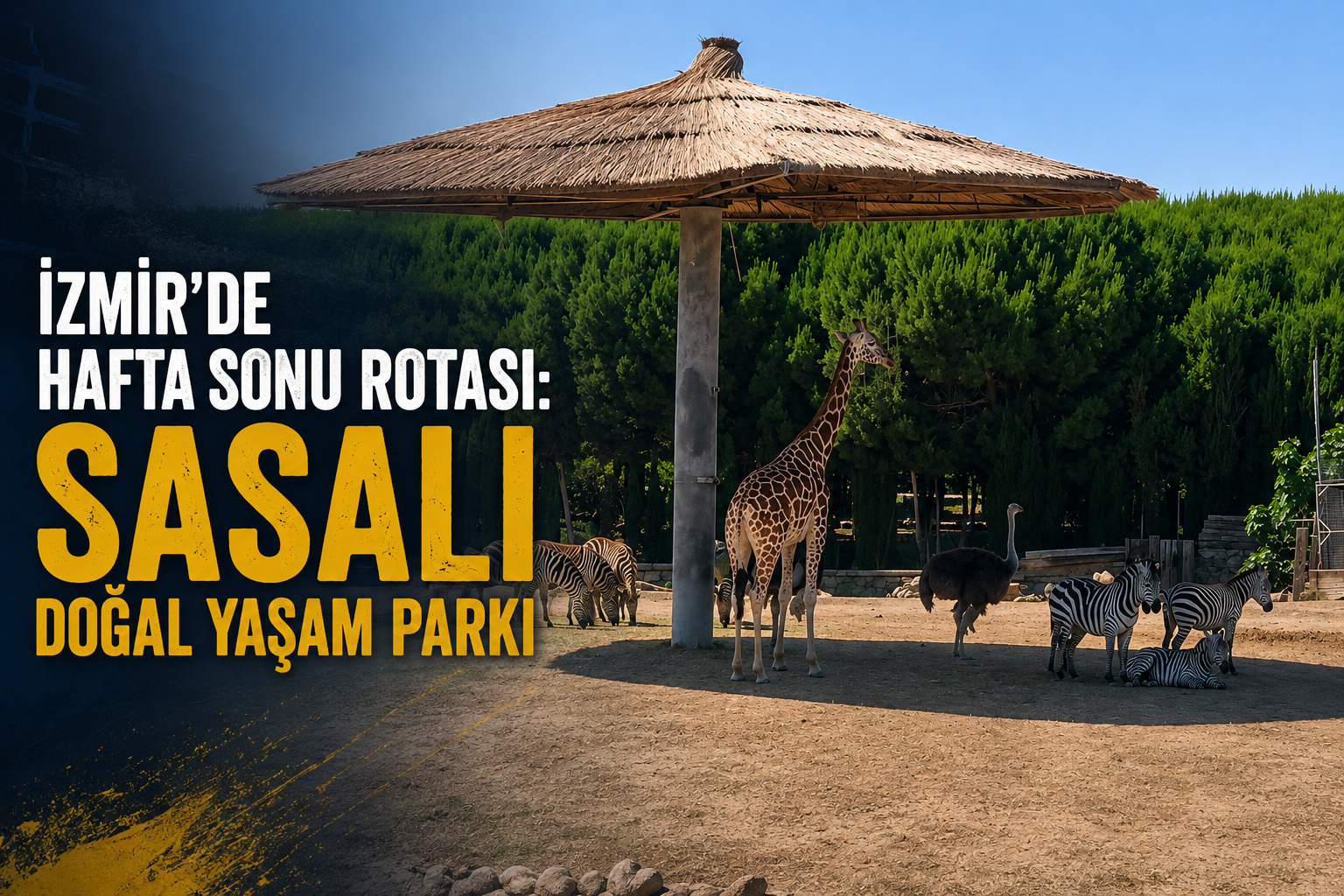 İzmir’de hafta sonu rotası: Sasalı Doğal Yaşam Parkı