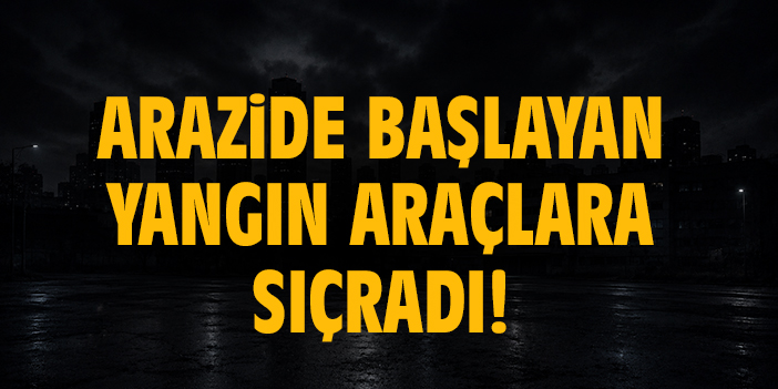 Arazide başlayan yangın araçlara sıçradı!