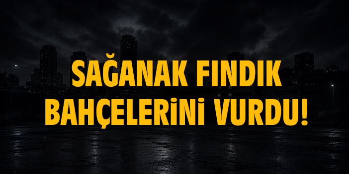 Sağanak fındık bahçelerini vurdu!