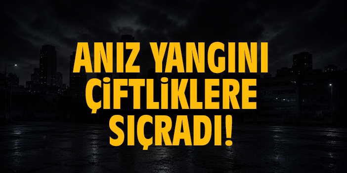 Anız yangını çiftliklere sıçradı!