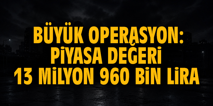 Piyasa değeri 13 milyon 960 bin lira olan 3 kilo 490 gram kokain ele geçirildi