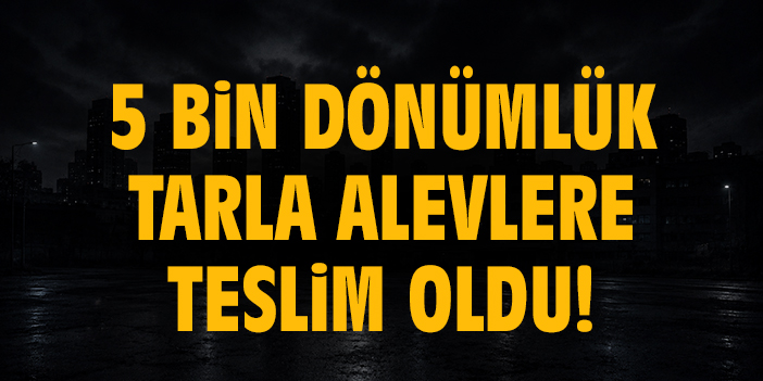 5 bin dönümlük tarla alevlere teslim oldu!