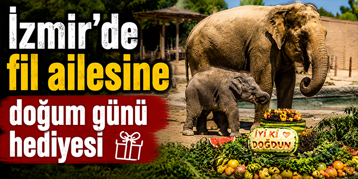 İzmir’de fil ailesine doğum günü hediyesi