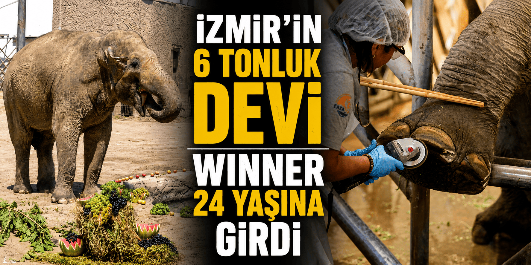 İzmir’in 6 tonluk devi Winner 24 yaşına girdi