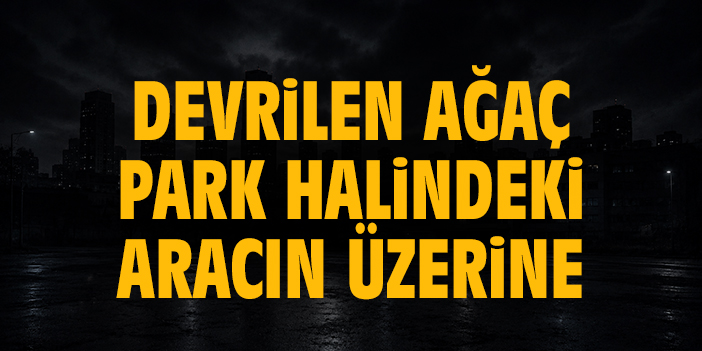 Devrilen ağaç park halindeki aracın üzerine düştü