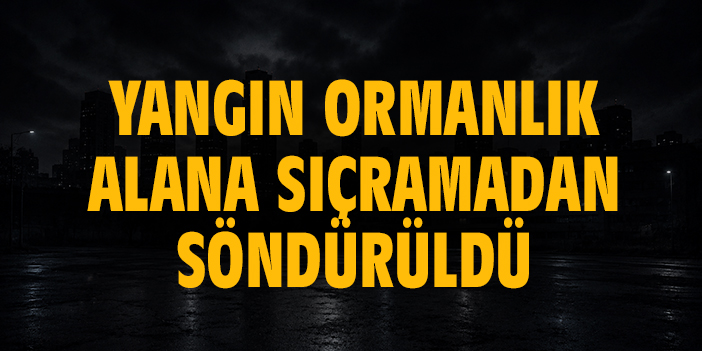 Çalılık yangını ormanlık alana sıçramadan söndürüldü