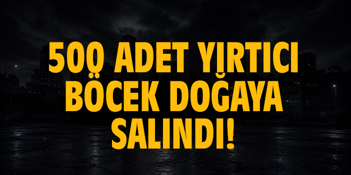 500 adet yırtıcı böcek doğaya salındı!