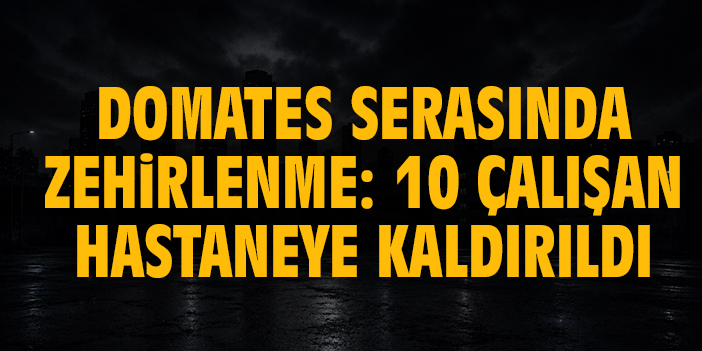 Domates serasında zehirlenme: 10 çalışan hastaneye kaldırıldı