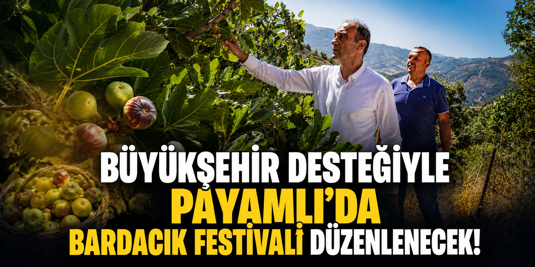 Büyükşehir desteğiyle Payamlı’da Bardacık Festivali düzenlenecek!