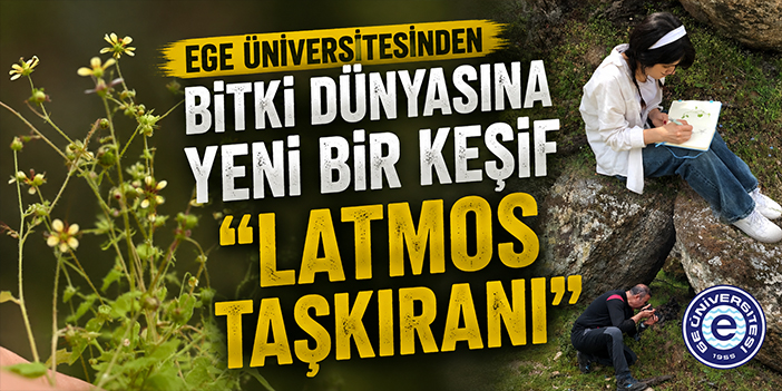 Ege Üniversitesinden bitki dünyasına yeni bir keşif "Latmos Taşkıranı"