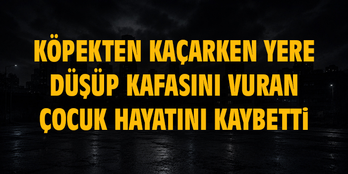 Ankara’da köpekten kaçarken yere düşüp kafasını vuran 15 yaşındaki çocuk hayatını kaybetti