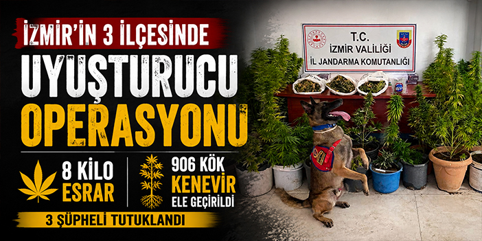 İzmir’in 3 ilçesinde uyuşturucu operasyonu: 8 kilo esrar, 906 kök kenevir ele geçirildi