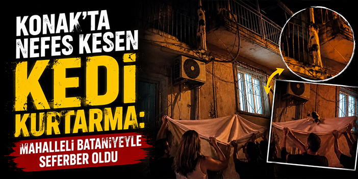 Konak’ta nefes kesen kedi kurtarma: Mahalleli battaniyeyle seferber oldu