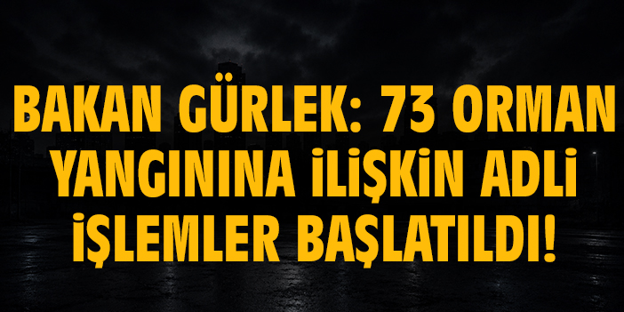 Bakan Gürlek: 73 orman yangınına ilişkin adli işlemler başlatıldı!
