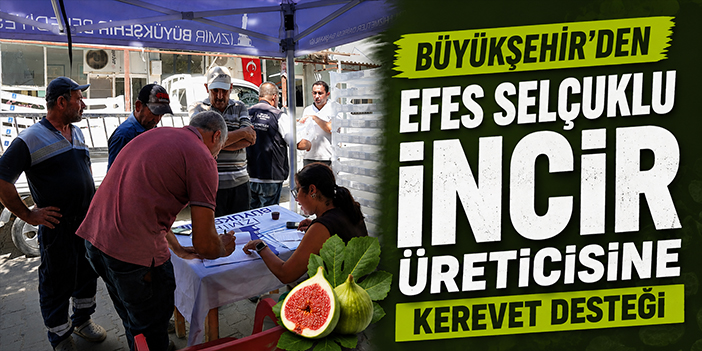 Büyükşehir’den Efes Selçuklu incir üreticisine kerevet desteği