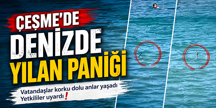 Çeşme’de denizde yılan paniği