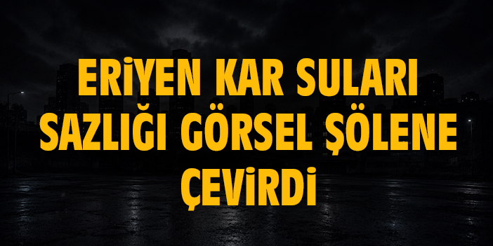 Eriyen kar suları sazlığı görsel şölene çevirdi