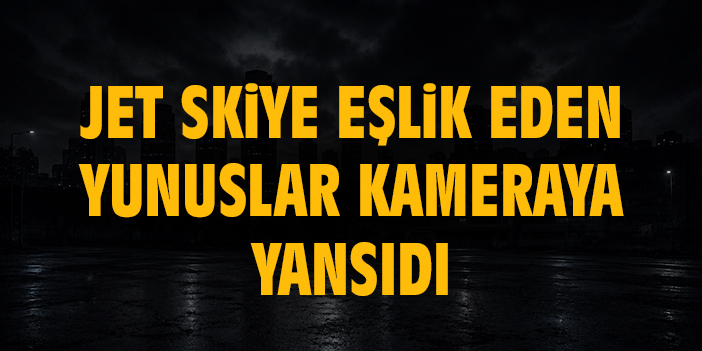 Jet skiye eşlik eden yunuslar kameraya yansıdı
