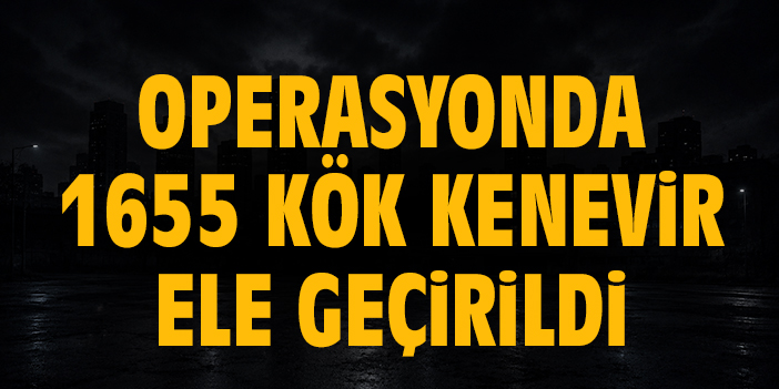 Operasyonda bin 655 kök kenevir ele geçirildi