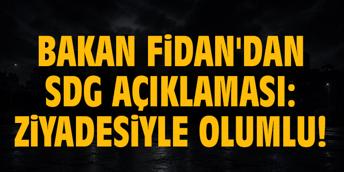 Bakan Fidan'dan SDG açıklaması: Ziyadesiyle olumludur!