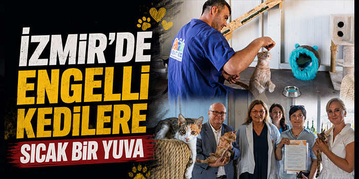 İzmir’de engelli kedilere sıcak bir yuva