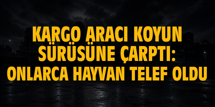 Kargo aracı koyun sürüsüne çarptı: Onlarca hayvan telef oldu