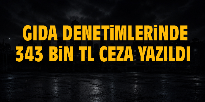 Gıda denetimlerinde 343 bin TL ceza yazıldı