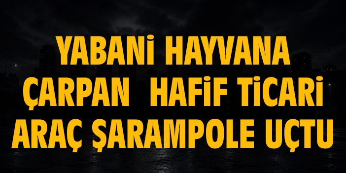 Yabani hayvana çarpan hafif ticari araç şarampole uçtu
