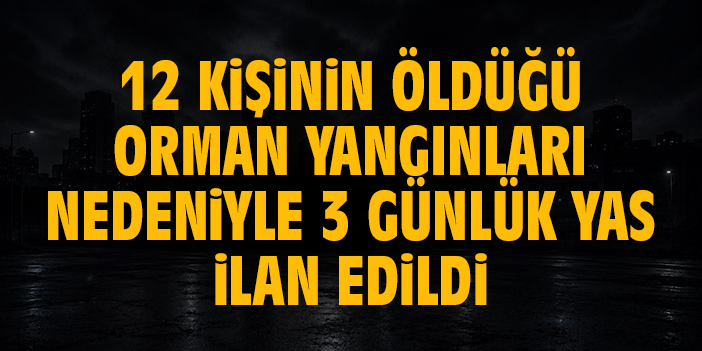 12 kişinin öldüğü orman yangınları nedeniyle 3 günlük yas ilan edildi