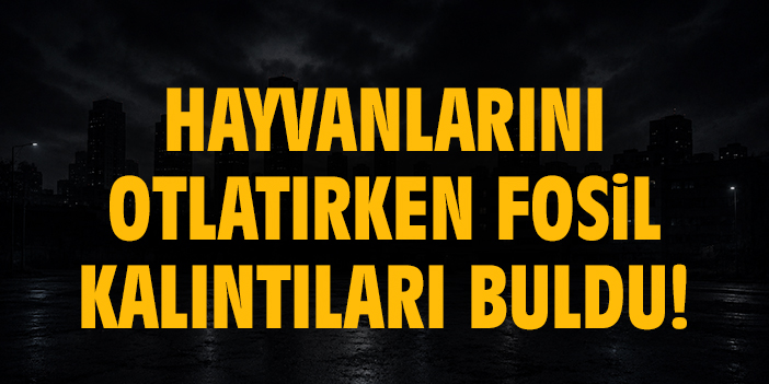 Hayvanlarını otlatırken fosil kalıntıları buldu!