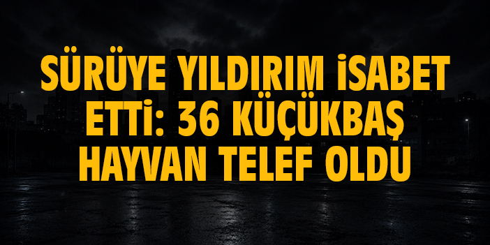 Sürüye yıldırım isabet etti: 36 küçükbaş hayvan telef oldu