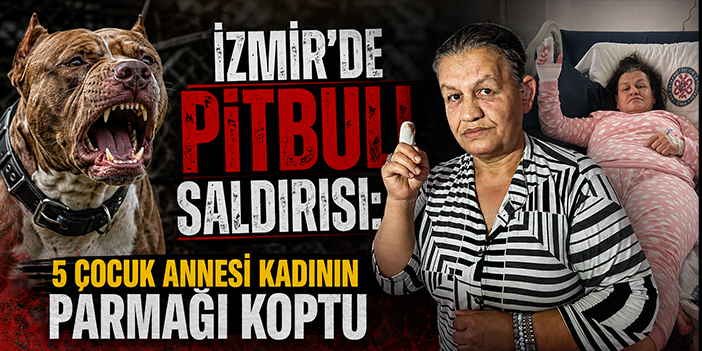 İzmir'de pitbull saldırısı: 5 çocuk annesi kadının parmağı koptu