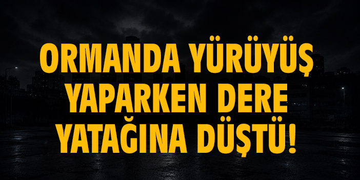 Ormanda yürüyüş yaparken dere yatağına düştü!