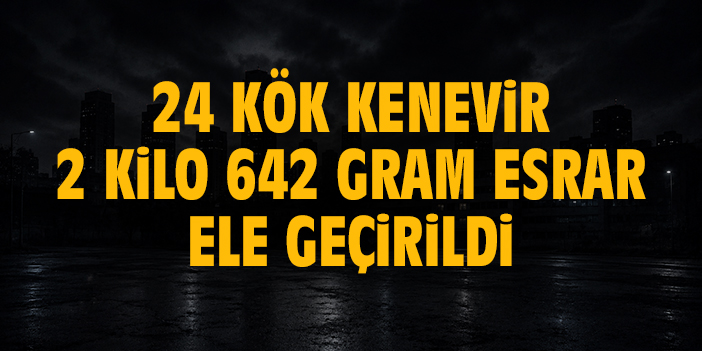 Uyuşturucu operasyonunda 24 kök kenevir ve 2 kilo 642 gram esrar ele geçirildi
