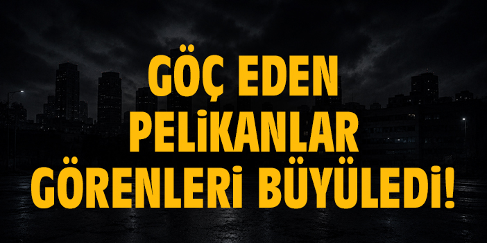 Göç eden pelikanlar görenleri büyüledi!