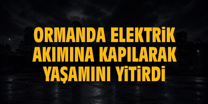 Ormanda elektrik akımına kapılarak yaşamını yitirdi
