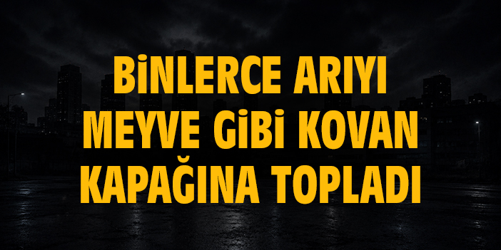 Binlerce arıyı meyve gibi kovan kapağına topladı