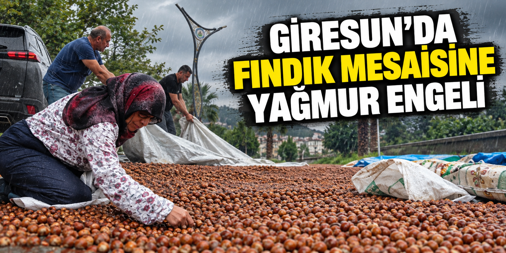 Giresun’da fındık mesaisine yağmur engeli