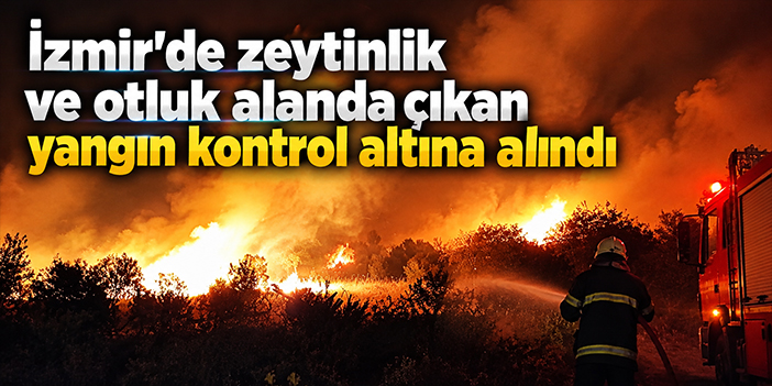 İzmir'de zeytinlik ve otluk alanda çıkan yangın kontrol altına alındı