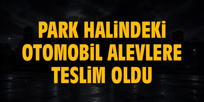 Park halindeki otomobil alevlere teslim oldu