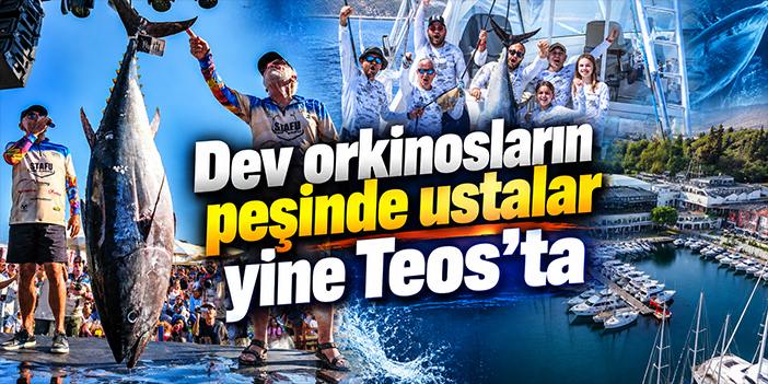 Dev orkinosların peşinde ustalar yine Teos’ta