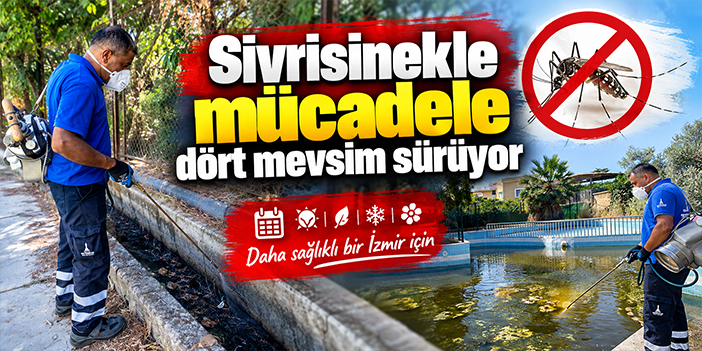 Sivrisinekle mücadele dört mevsim sürüyor