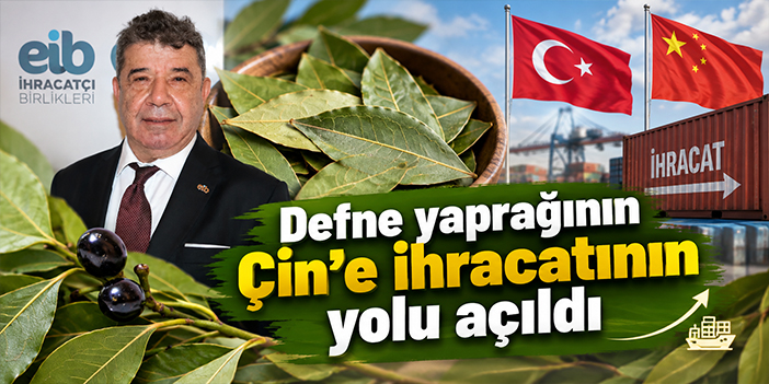 Defne yaprağının Çin’e ihracatının yolu açıldı