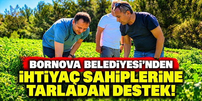 Bornova Belediyesi’nden ihtiyaç sahiplerine tarladan destek!