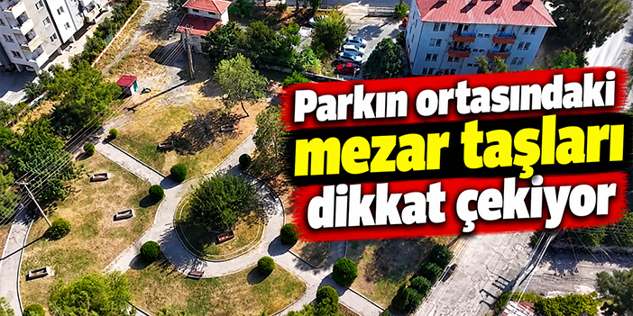 Parkın ortasındaki mezar taşları dikkat çekiyor