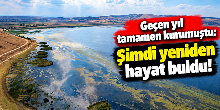 Geçen yıl tamamen kurumuştu: Şimdi yeniden hayat buldu!